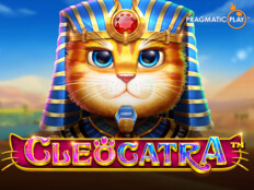 Bedava slot casino oyunları96